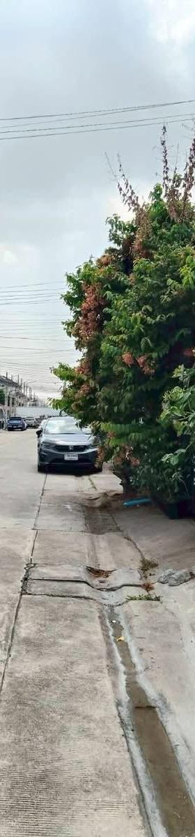 博温3房别墅出租 缩略图 4