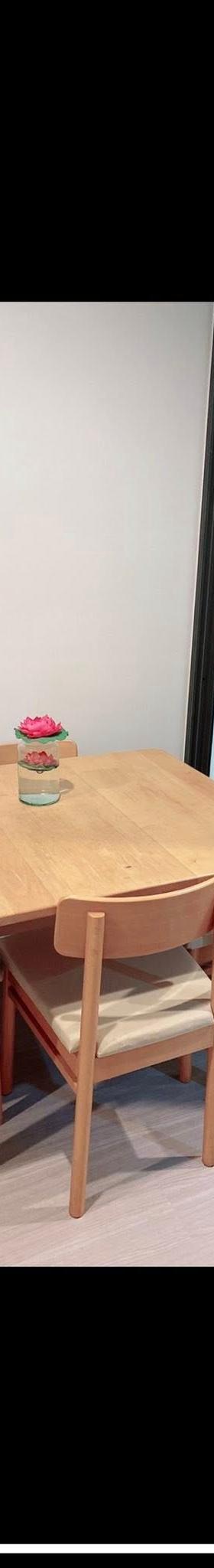 拉抛1室1卫公寓出租 缩略图 5
