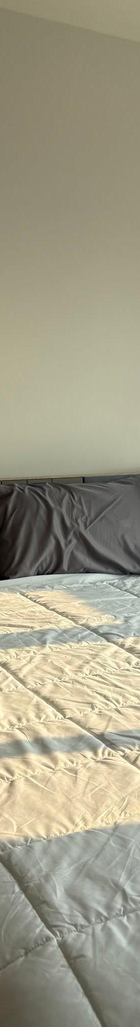 帕卡农1室1卫公寓出租 缩略图 5
